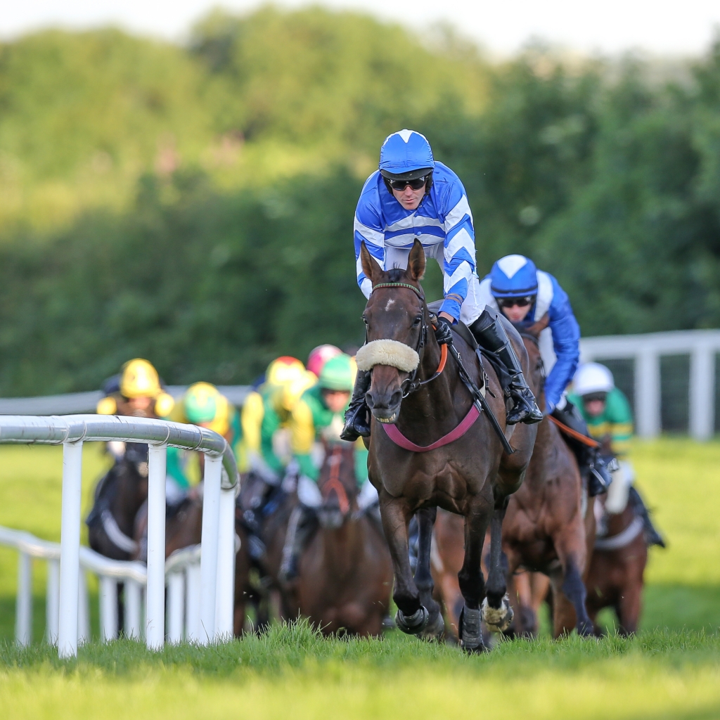Saturday Evening Racing