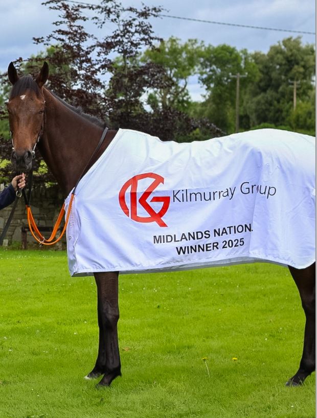 Kilmurray Group Midlands National & Ladies Day