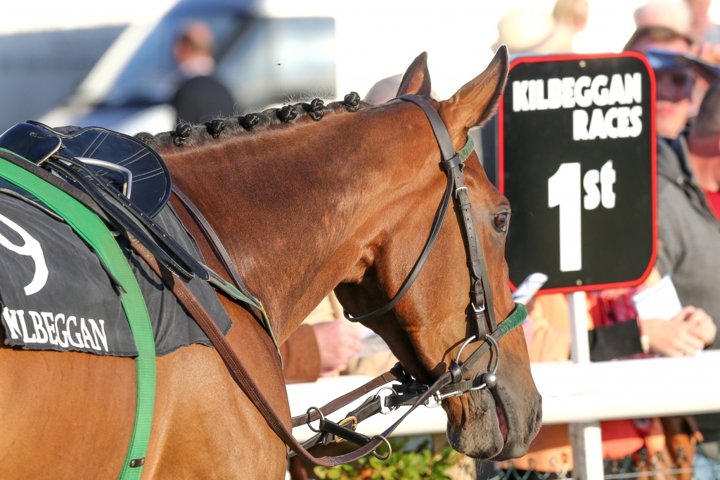 The Spring National Hunt Race Meeting