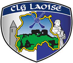 Laois Shopping Centre ACHL Div 3 & Div 4 Finals