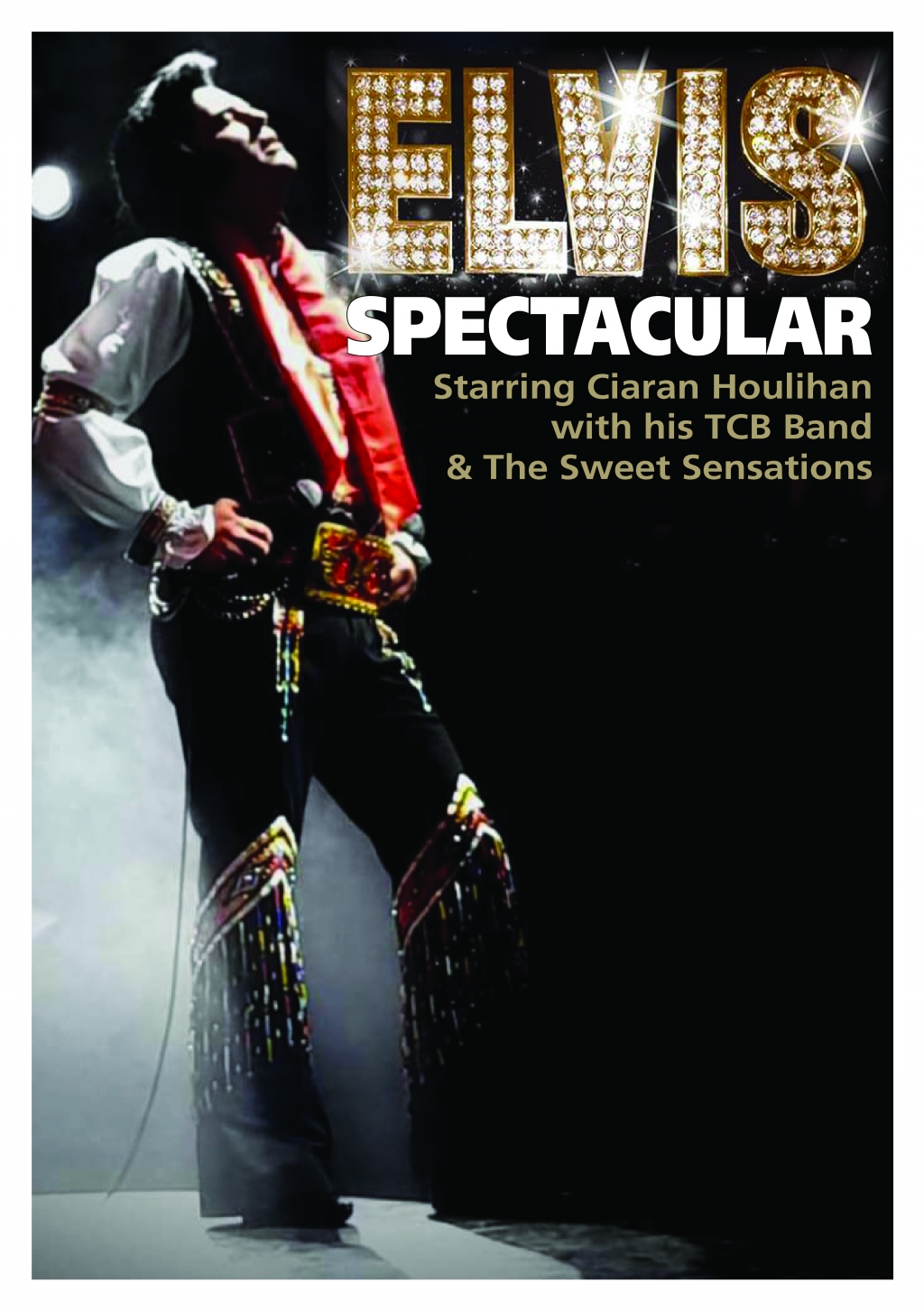 Elvis Spectacular