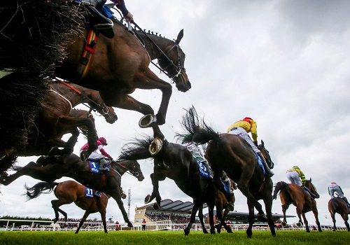 2027 Fairyhouse Membership