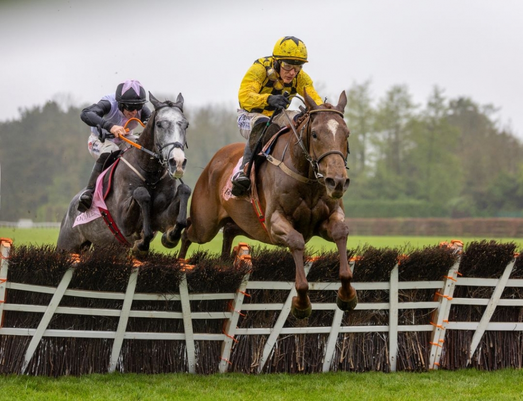Punchestown Premiere Weekend - Day 1