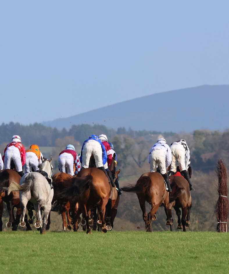 Grand National Trial Day