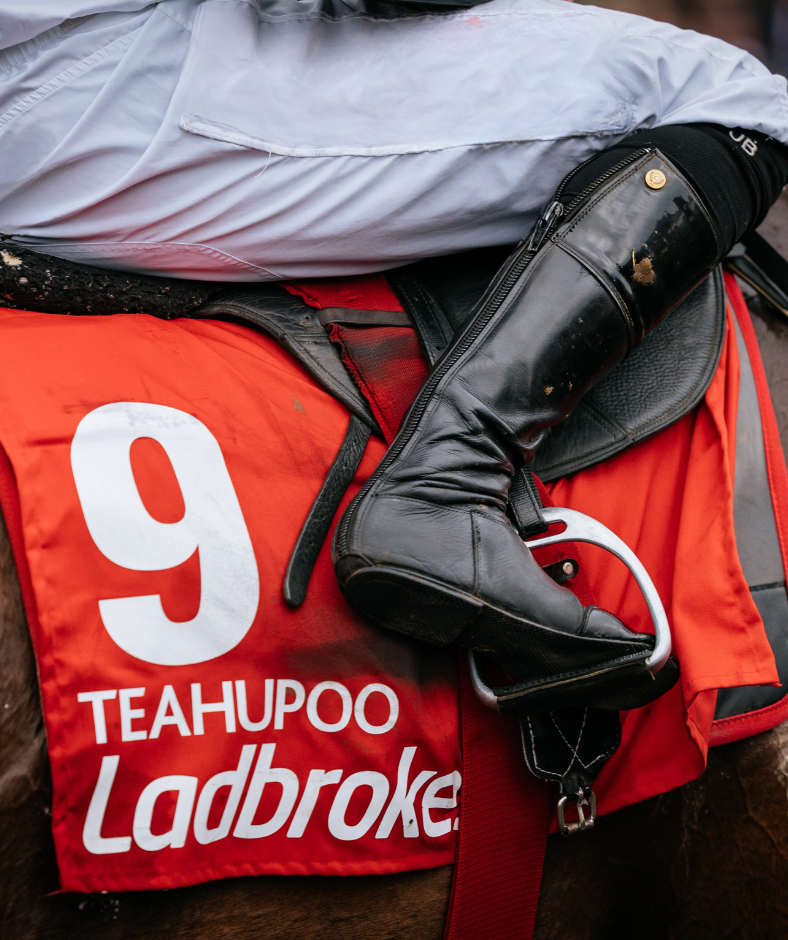 Ladbrokes Champion Stayers Hurdle Day