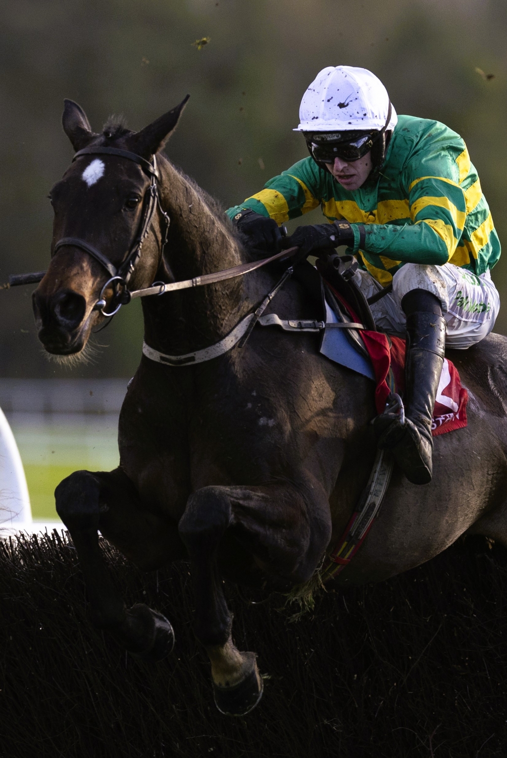 Punchestown Premiere Weekend - Day 2