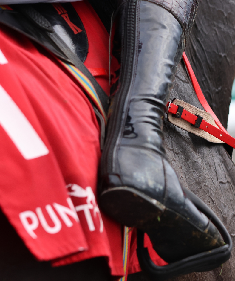 Punchestown Premiere Weekend - Day 1