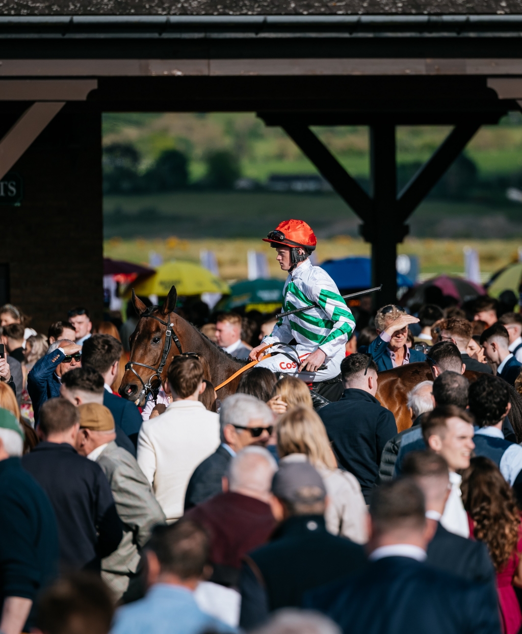 Grand National Trial Day