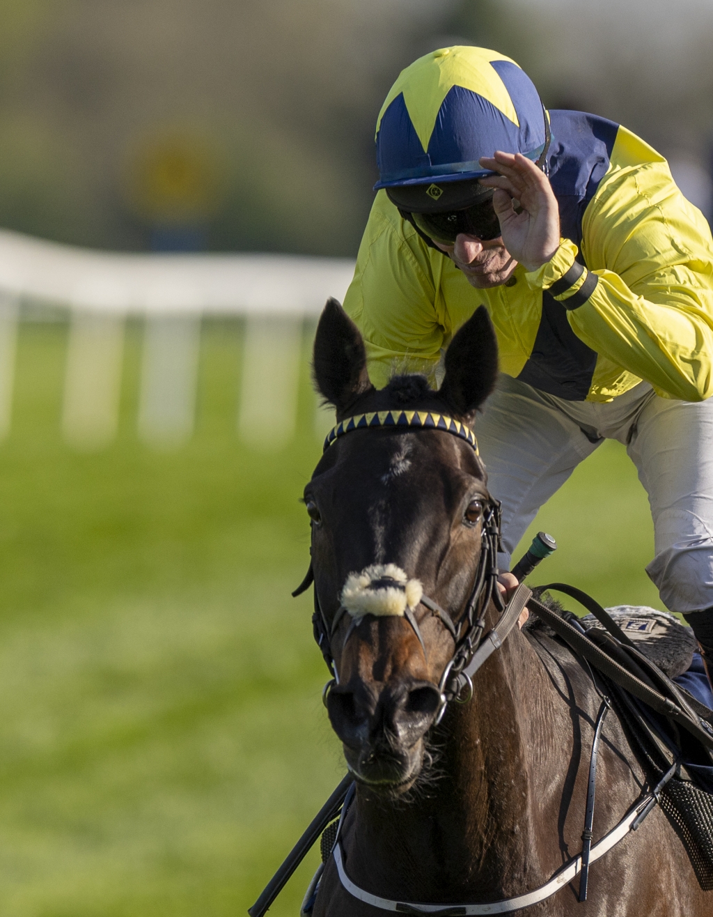 William Hill Champion Chase Day
