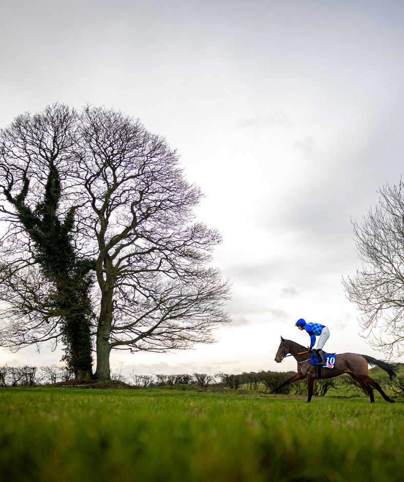 Skybet Moscow Flyer Hurdle Day