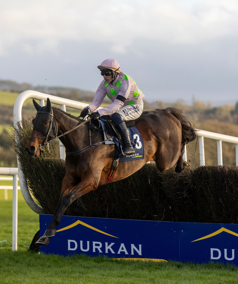 Punchestown Premiere Weekend - Day 2