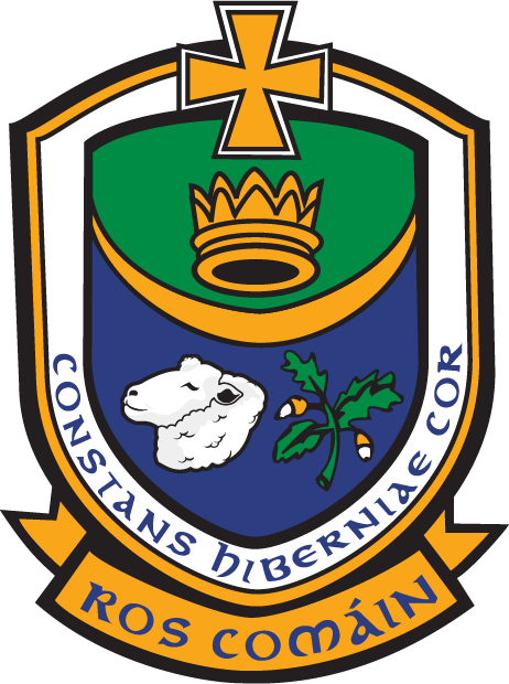 St. Croan's v St. Aidan's- O'Gara Cup Play Off