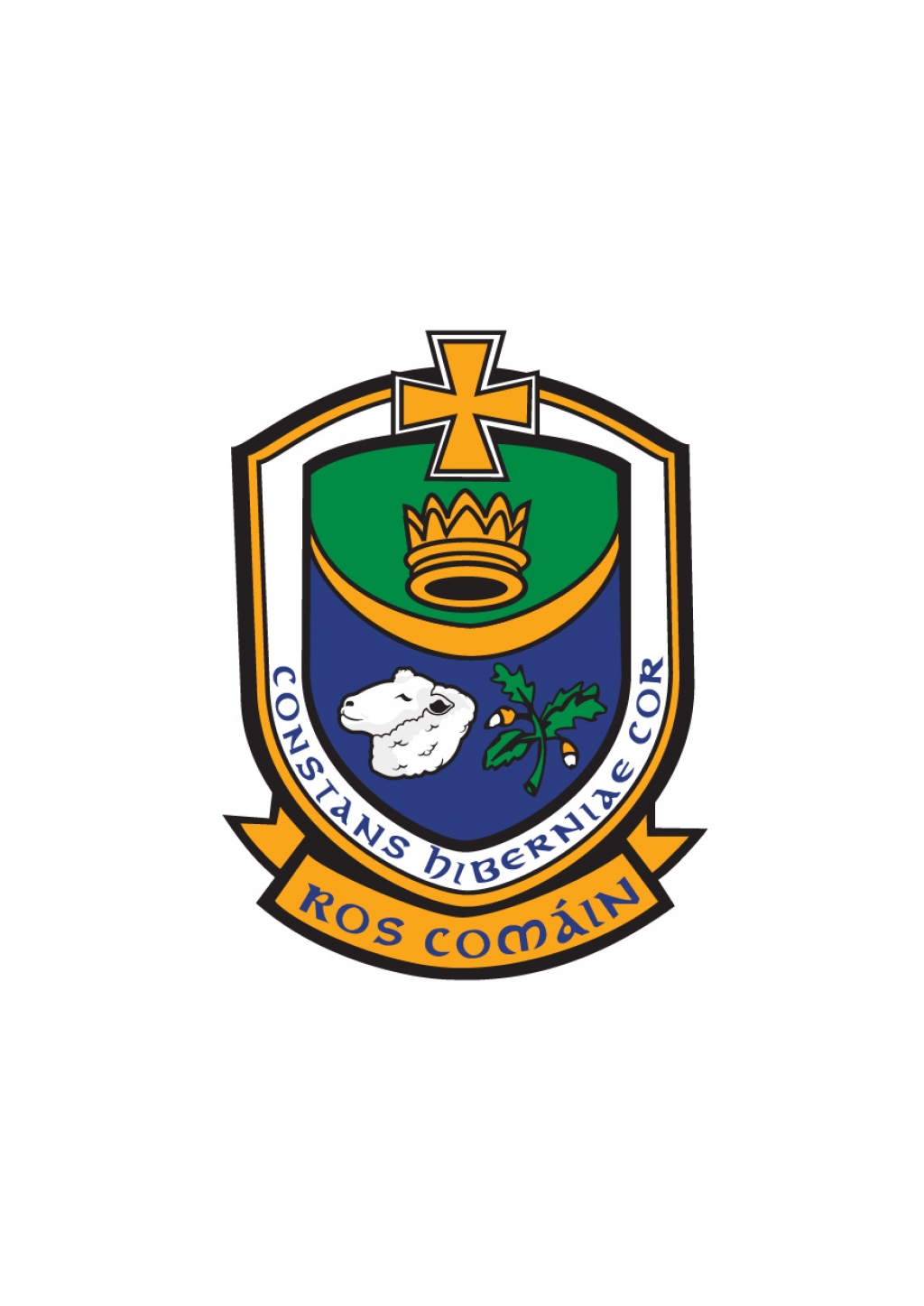 U13 Keenan Cup Final 2026- Boyle v Castlerea St. Kevin's