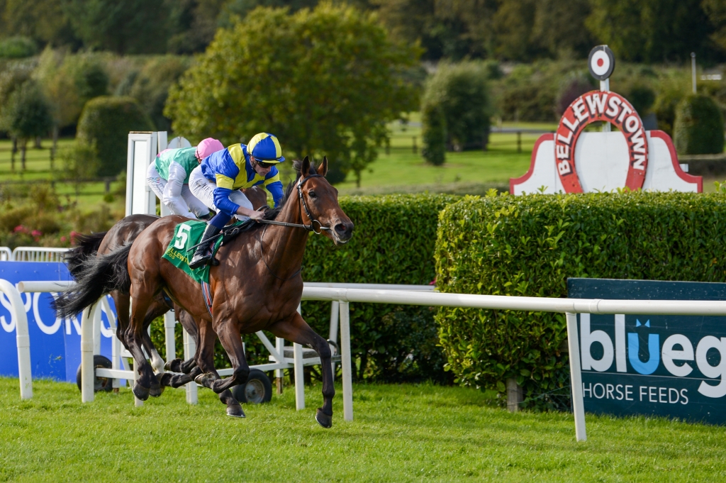 Bellewstown Races - Membership