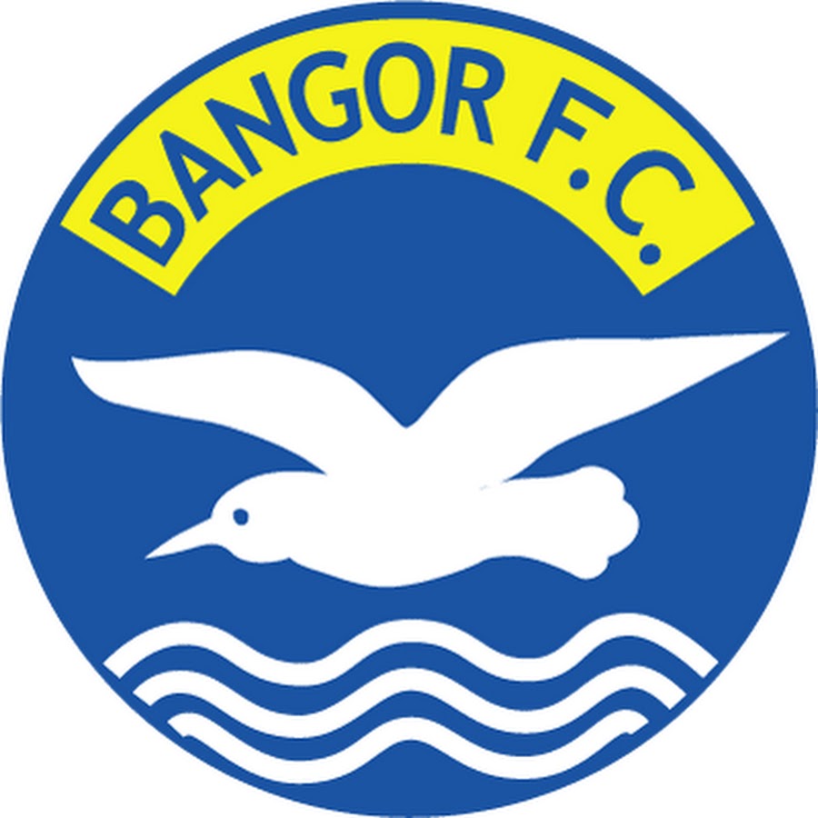 Portadown v Bangor - Away End
