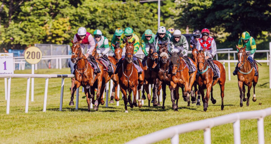 National Hunt -AFTERNOON MEETING