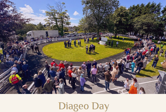 FLAT RACES - EVENING MEETING