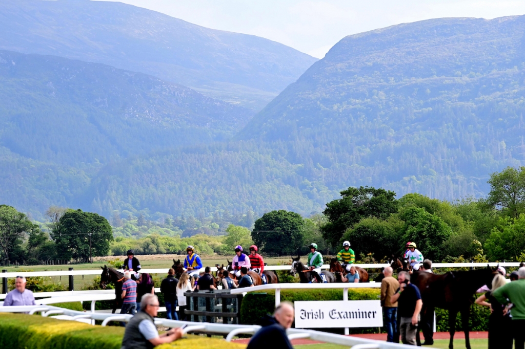 August Festival Friday 21st