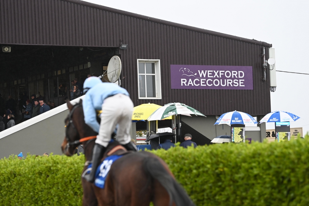 Wexford Races Monday Afternoon 27th October 2025