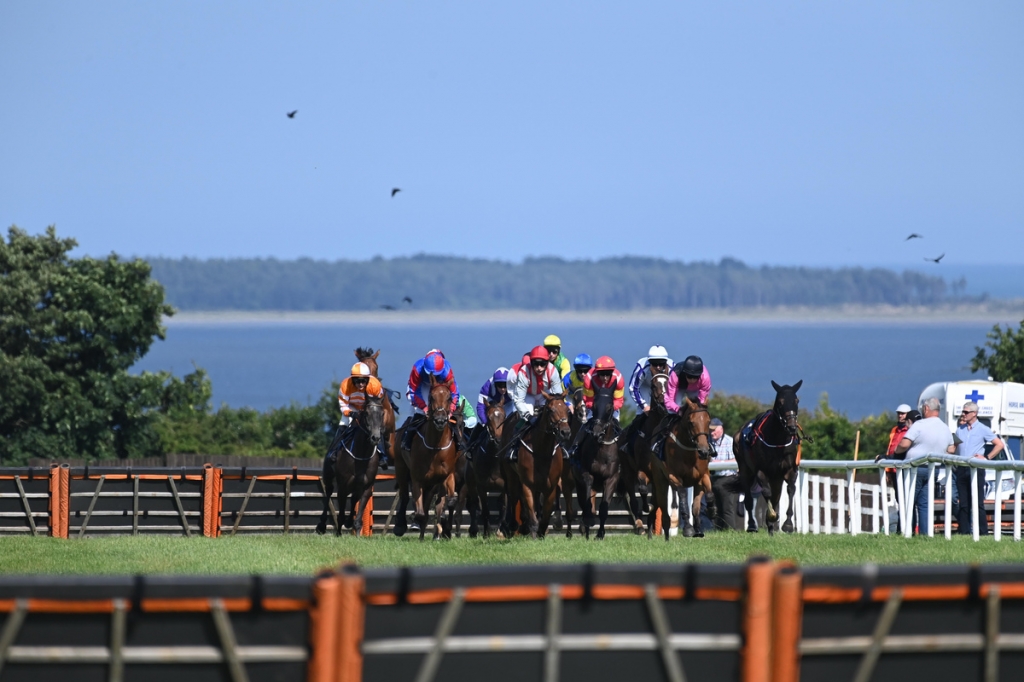 Wexford Races Friday Evening 7th August 2026