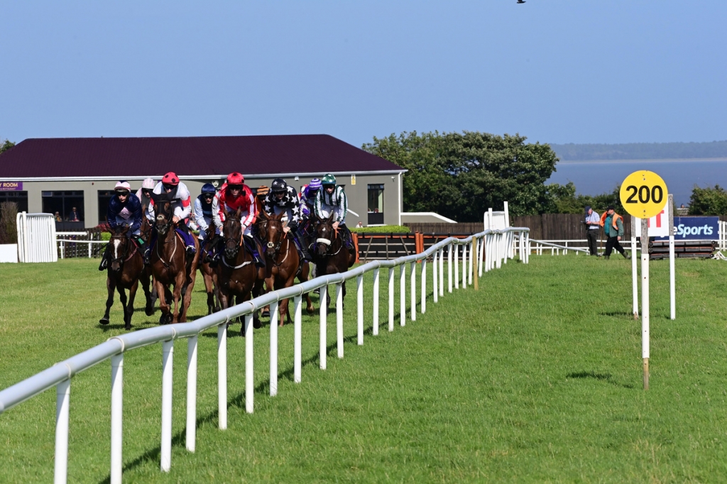Wexford Races Saturday Afternoon 8th August 2026