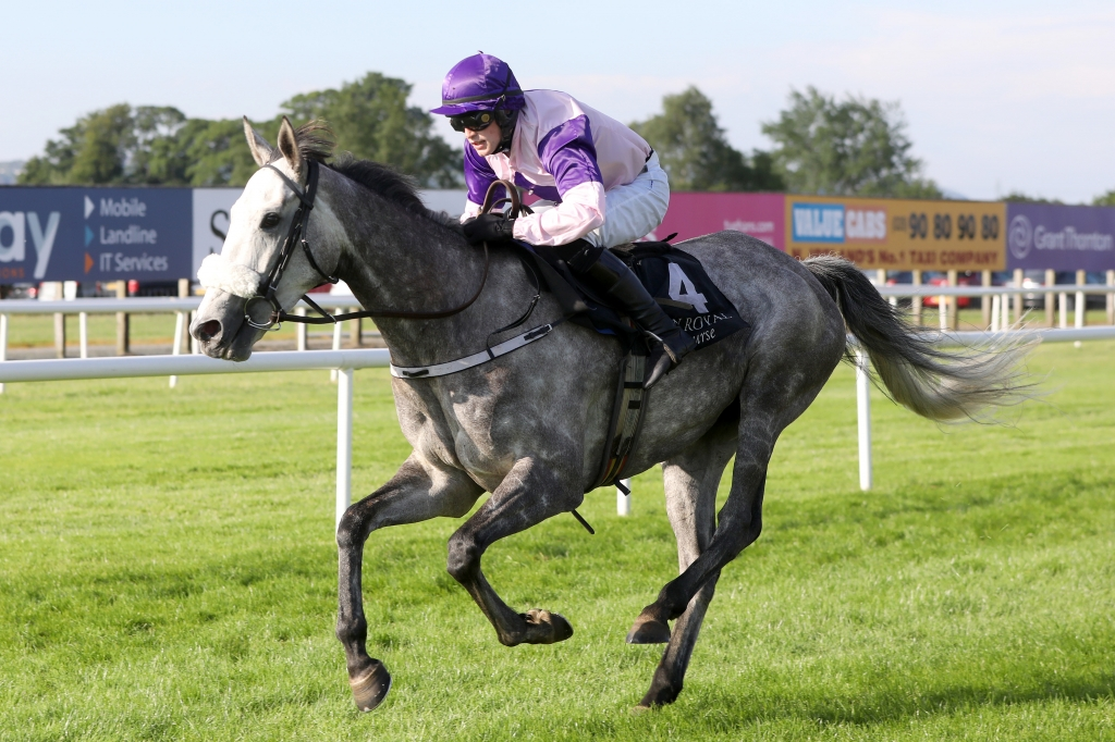 BoyleSports Summer Race Evening 2026