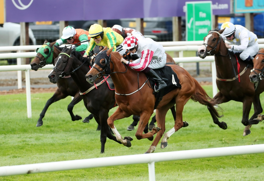 Summer Festival- Day 1 2026