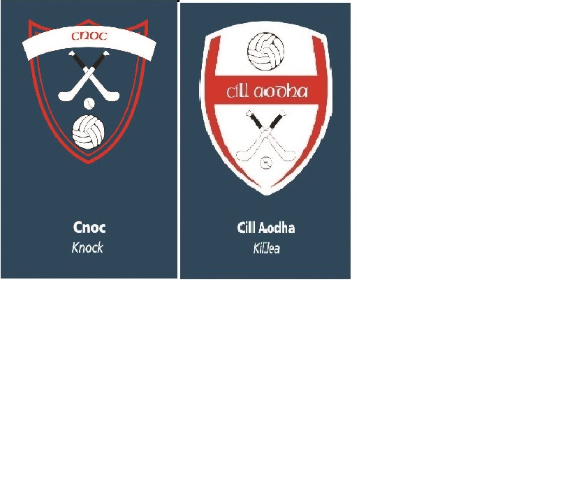 Mid Junior League Division 4 Final: Killea vs Knock