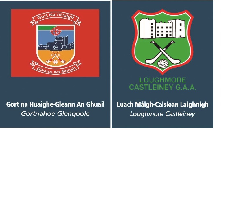 Premier Credit Union Mid Junior C Hurling Championship Semi Final : Loughmore Castliney v Gortnahoe Glengoole