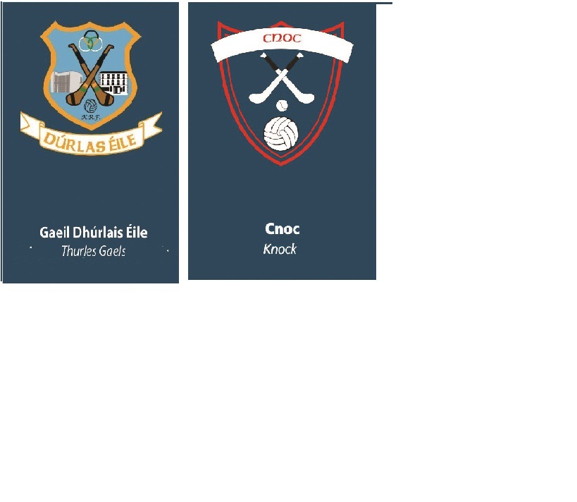 Premier Credit Union Mid Junior B Hurling Championship Group 2 Round 5 : Thurles Gaels v Knock