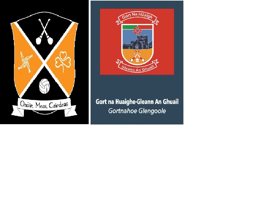 Premier Credit Union Mid Junior B Hurling Championship Group 1 Round 4 : Gortnahoe Glengoole v Clonakenny