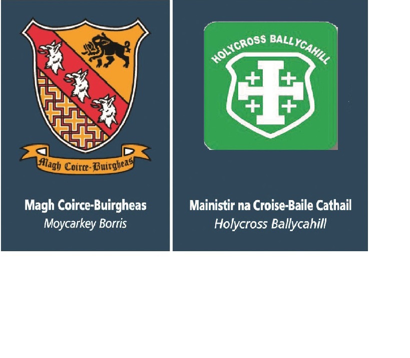 Joe O'Sullivan Minibus & Taxi Hire Mid Minor B Football Championship - Semi Final