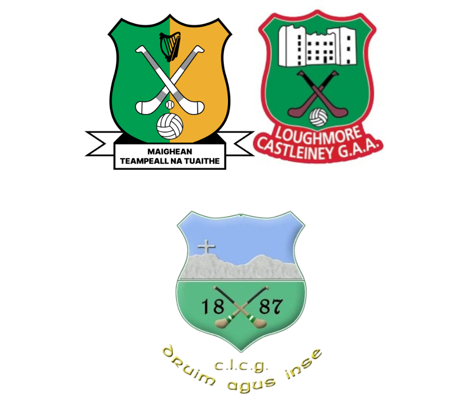 Troy Marketing Mid Minor B Hurling Semi Final: Moyne Templetuohy/Loughmore Castleiney vs Drom Inch