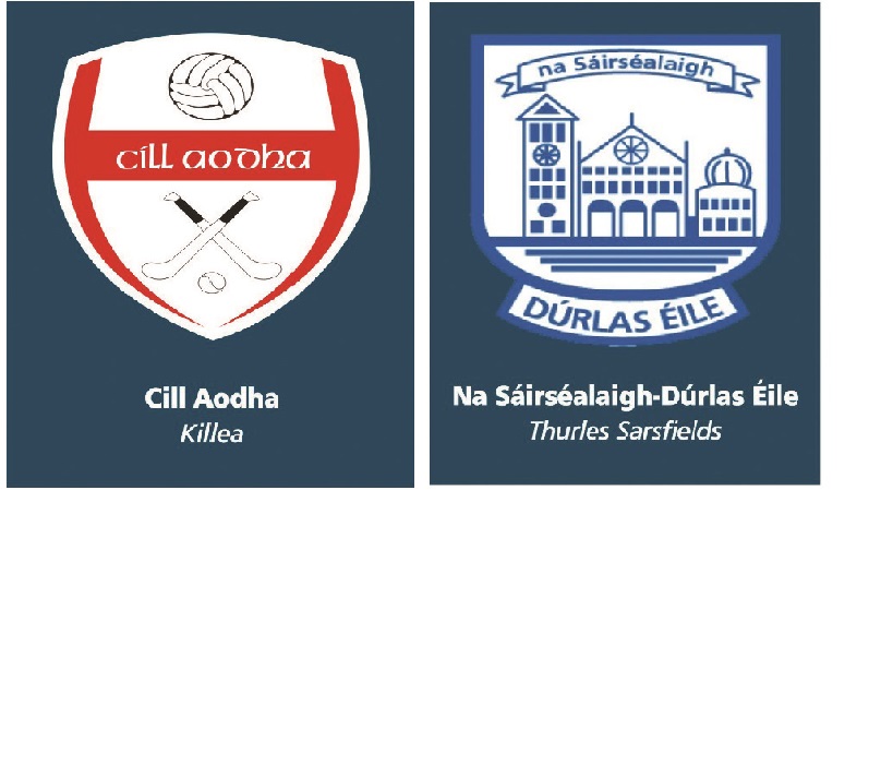 Premier Credit Union Mid Junior B Hurling Championship Group 2 Round 4 : Killea v Thurles Sarsfields