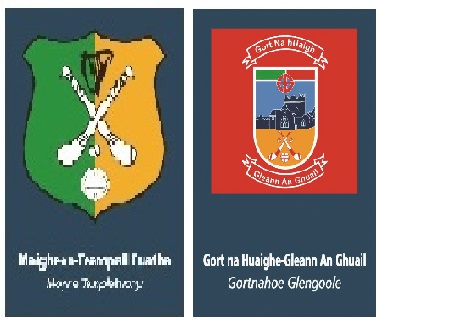 Premier Credit Union Mid Junior B Hurling Championship Group 1 Round 5 : Gortnahoe Glengoole v Moyne Templetuohy
