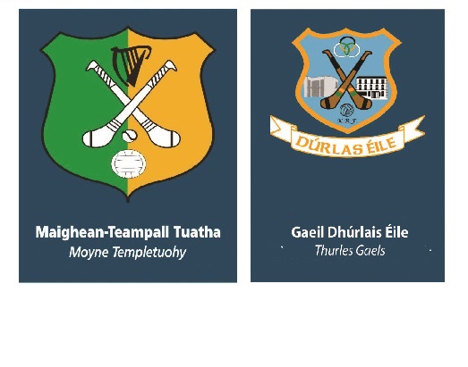 Premier Credit Union Mid Junior B Hurling Championship Semi-Final : Moyne Templetuohy v Thurles Gaels